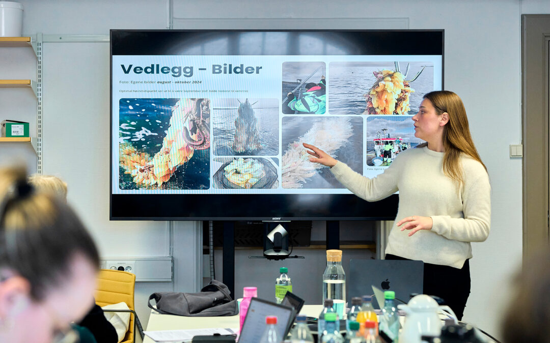 Femten minutters bedømmelse